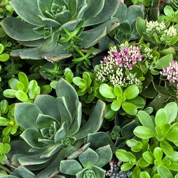 Meet the Posher Kasia - Picture 10 of 16